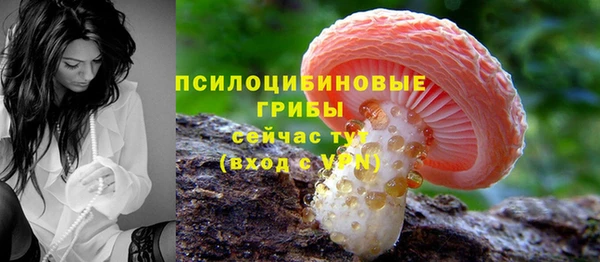 метадон Бородино