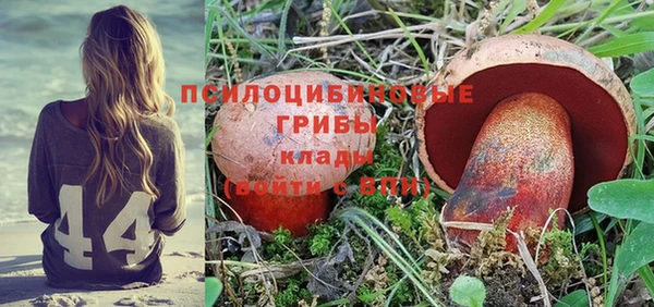 соль ск Бугульма